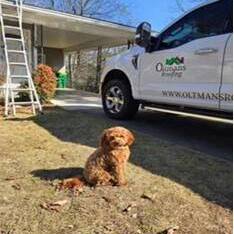Roux The Roofer Roux The Roofer